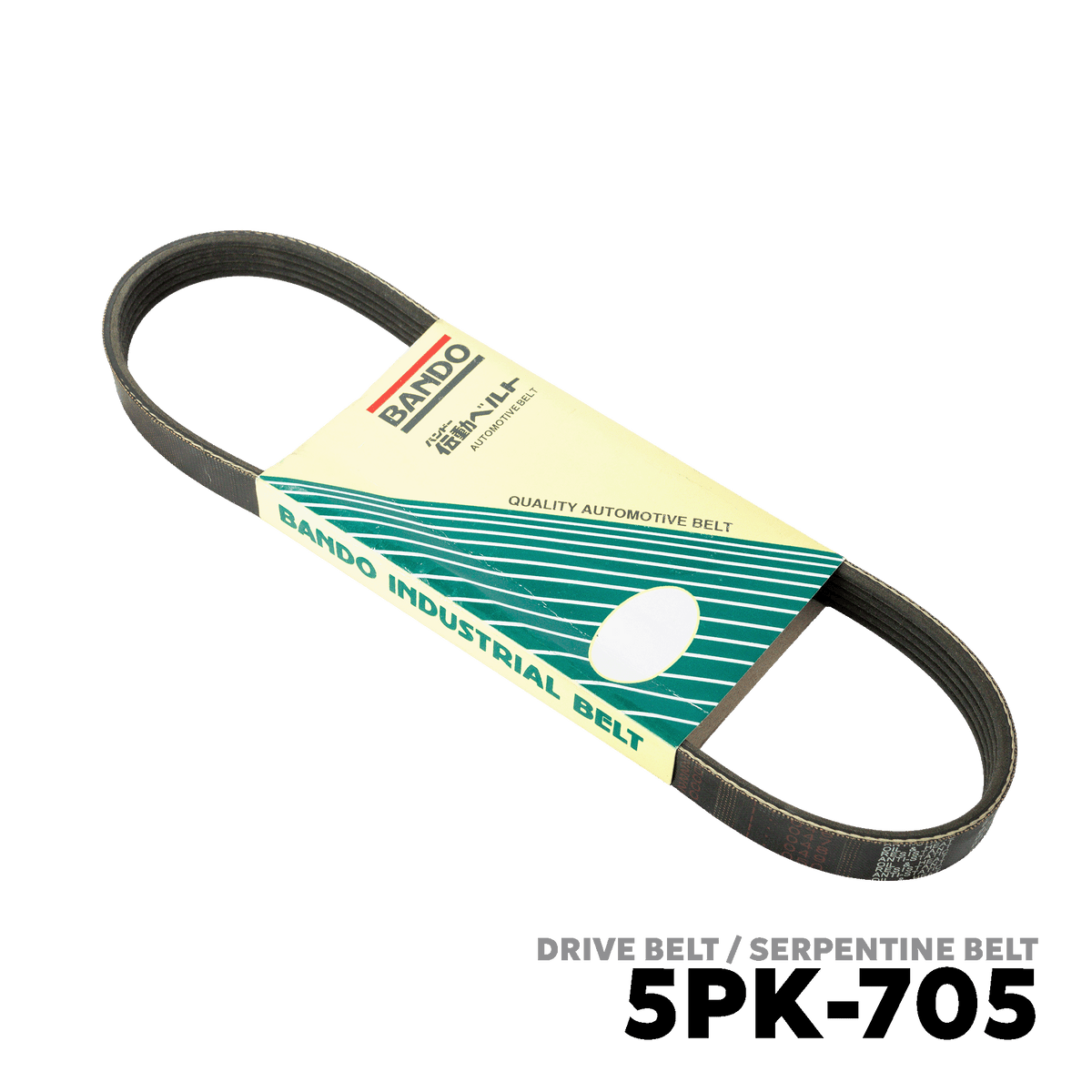 2005 - 2015 FORD FOCUS MK2 / MK3 DRIVE BELT - BANDO 5PK-705