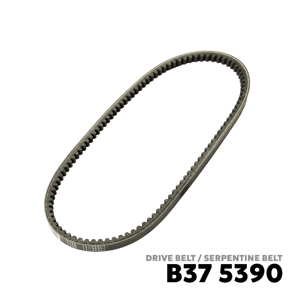 1982 - 1983 NISSAN MAXIMA DRIVE BELT - BANDO 5390 17X965Li