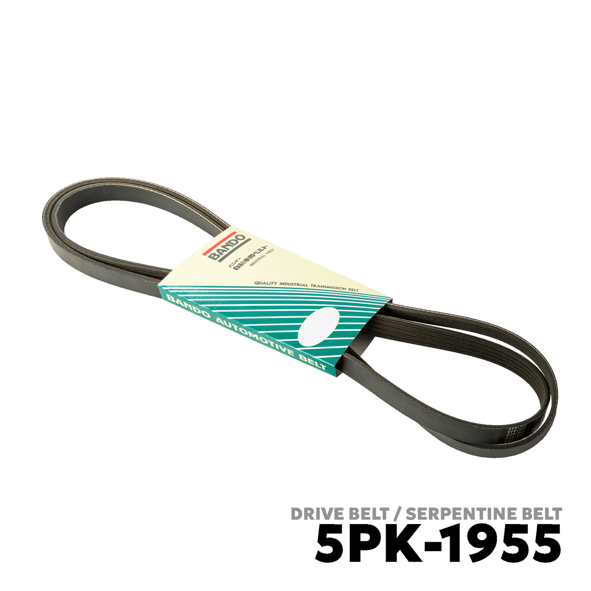 1991 - 1995 BMW 8-SERIES COUPE DRIVE BELT - BANDO 5PK-1955