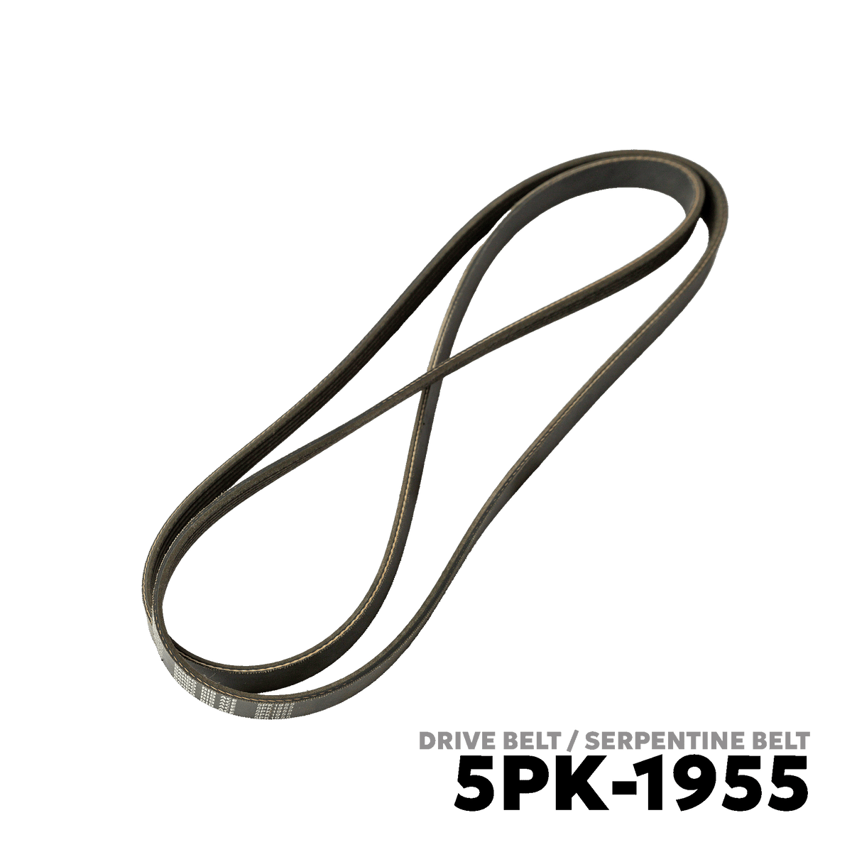 1991 - 1995 BMW 8-SERIES COUPE DRIVE BELT - BANDO 5PK-1955